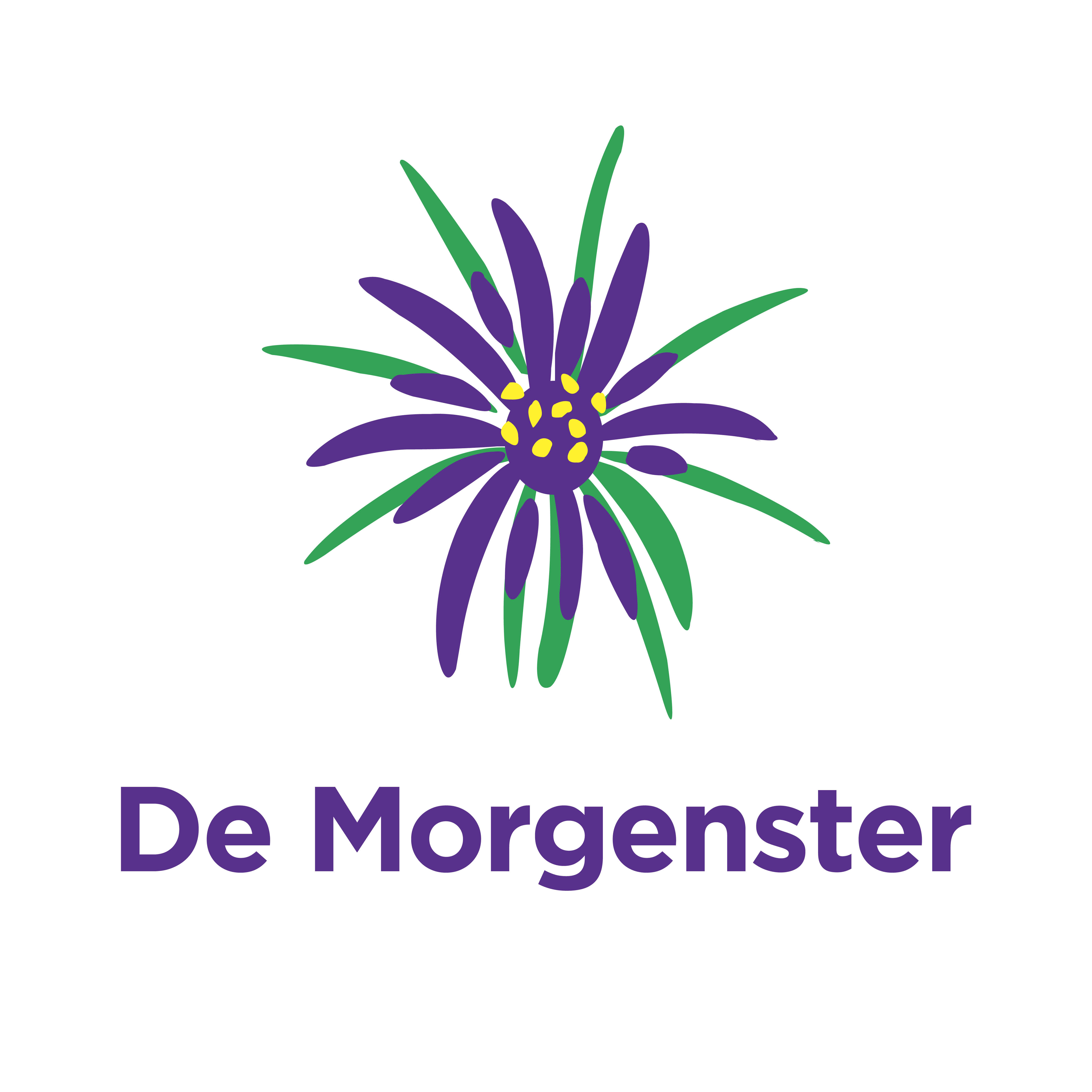 (c) Demorgensternorg.nl